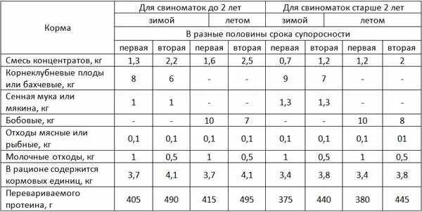 Можно давать свиньям свеклу