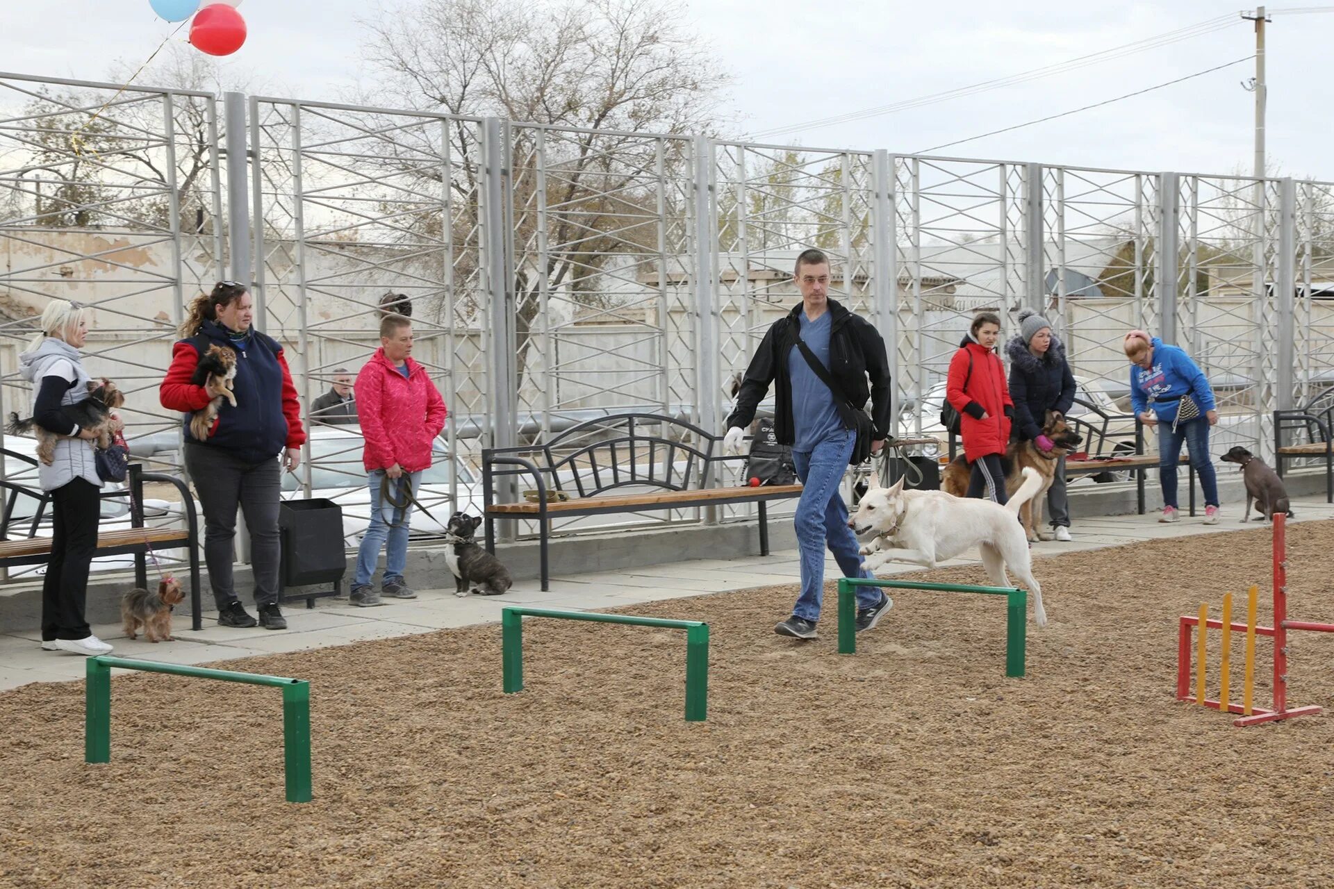 площадки для кинологов. занятие с кинологом на площадке. площадки для кинологов. площадка для дрессировки собак. площадка кинологов.
