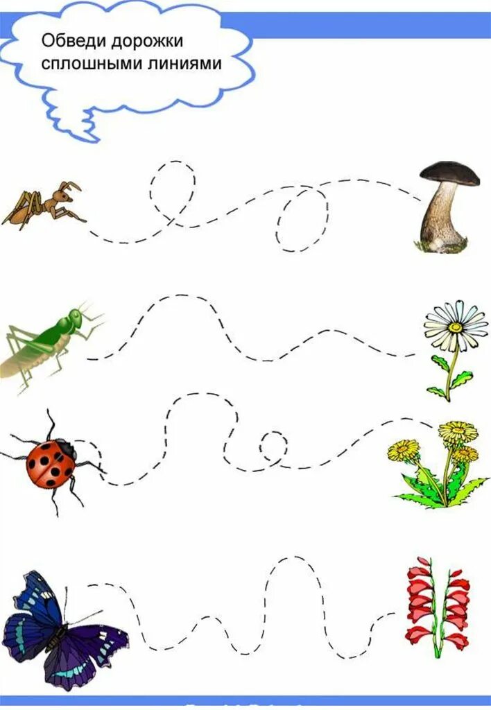 Изолированное развитие. Задания на тему насекомые для дошкольников. Графомоторные дорожки насекомые. Графомоторные дорожки муравьи. Насекомые логопедические задания для детей.