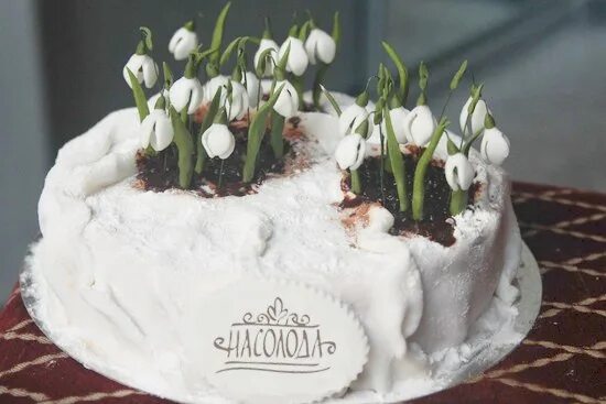 Торт с подснежниками. Тортики с подснежниками. весенний торт. с днём рождения подснежники.