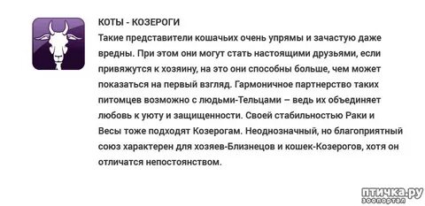 Внимание мужчины козерога