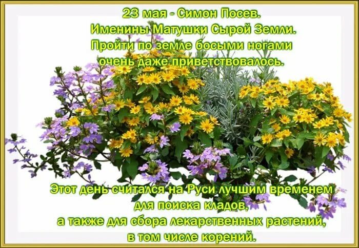 Какой сегодня 23 апреля
