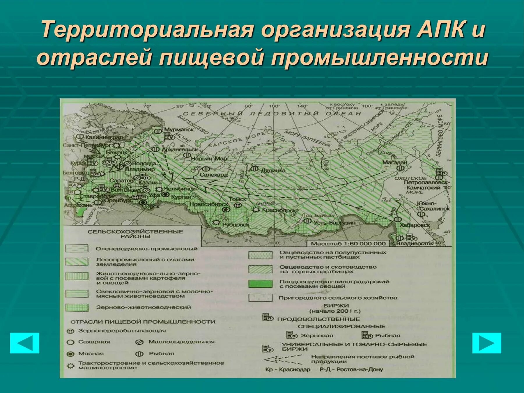 Пищевая промышленность города россии. Основные центры агропромышленного комплекса России. Агропромышленный комплекс России АПК 9 класс. Центры пищевой промышленности в России на карте. Центры размещения пищевой промышленности в центральной России.