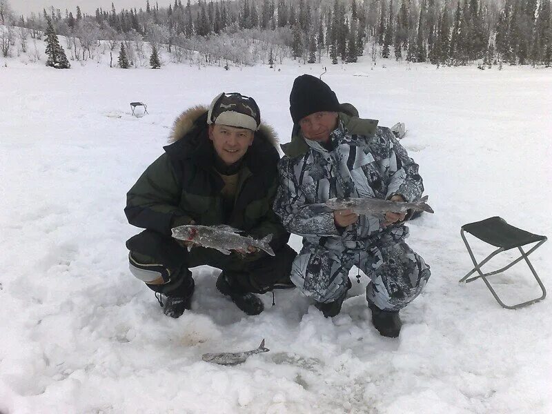 Зимняя ловля хариуса. Рыбалка весенняя урал. Хариус в якутии. Хариус на байкале. Хариус подо льдом.