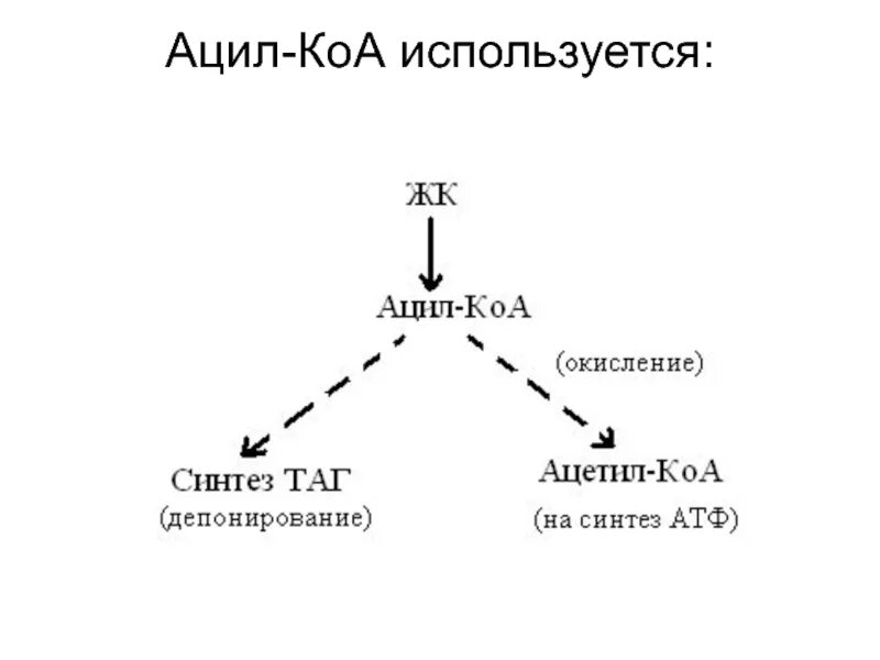 Молекула ацетил коа. Ацил КОА. Ацил-КОА формула. Ацил КОА И ацетил КОА разница. Ацил и ацетил КОА.