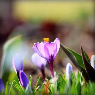 Spring now