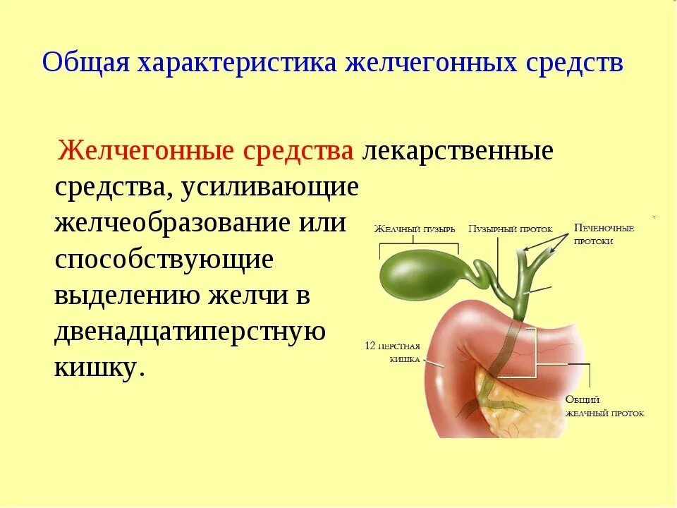 Эффективное лечение желчного пузыря. Препарат способствующий выведению желчи в кишечник. Желчегонные лекарственные средства механизм действия. Желчный проток препарат. Препараты способствующие желчеобразованию.