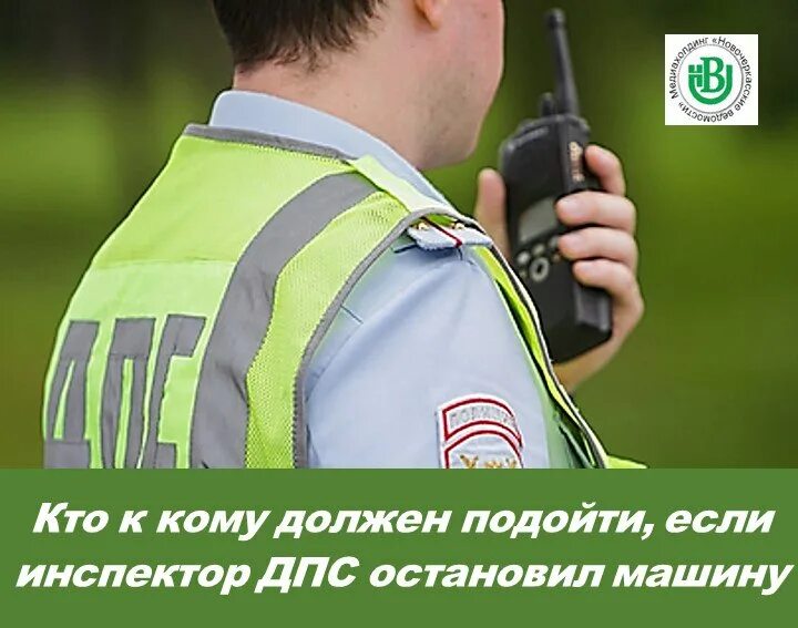 Инспектор гаи. Мой дорогой инспектор. Инспектор гибдд. Профессия дпс. Гаишник.