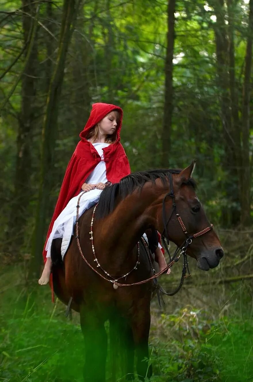Кони сказки девочку. Лошадь в лесу. Красная шапочка на коне. Фотосессия с лошадью в лесу. Девушка на лошади в лесу.