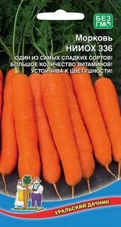 Морковь нииох отзывы
