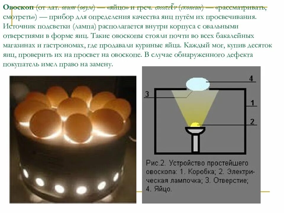 Оценка качества яиц