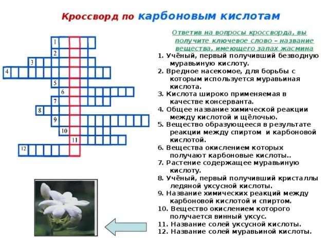 Кроссворд по кислотам химия