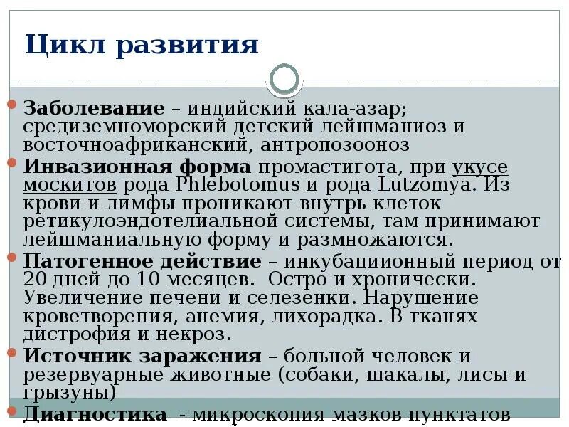 Инвазионная стадия лейшмании. Инвазионная стадия при висцерального лейшманиоза. лейшманиоз жизненный цикл. инвазионная форма лейшманиоза. инвазионная стадия для человека при лейшманиозе.