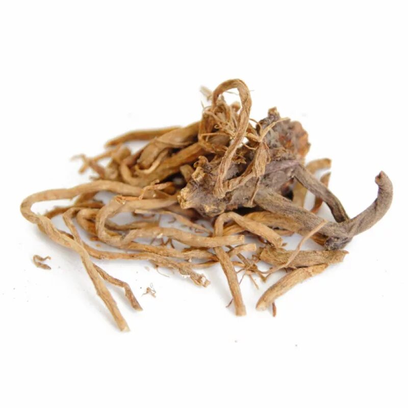 Валериана лекарственная корневище. Валерианы лекарственной корневища с корнями. Валериана лекарственная корневище. Корневище валерианы лекарственной. Корневища с корнями валерианы сырье.