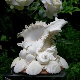 Использовать ракушки