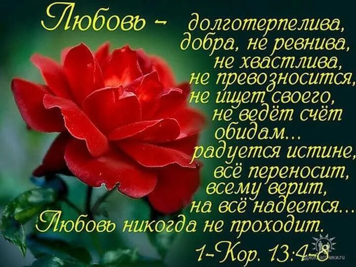 Всему верит всего надеется все переносит