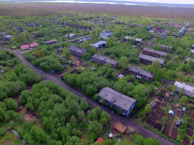 Л з 14. Бревенник Архангельск. Остров Бревенник Архангельск. Цыбульский Бревенник. СНТ красное Бревенник.