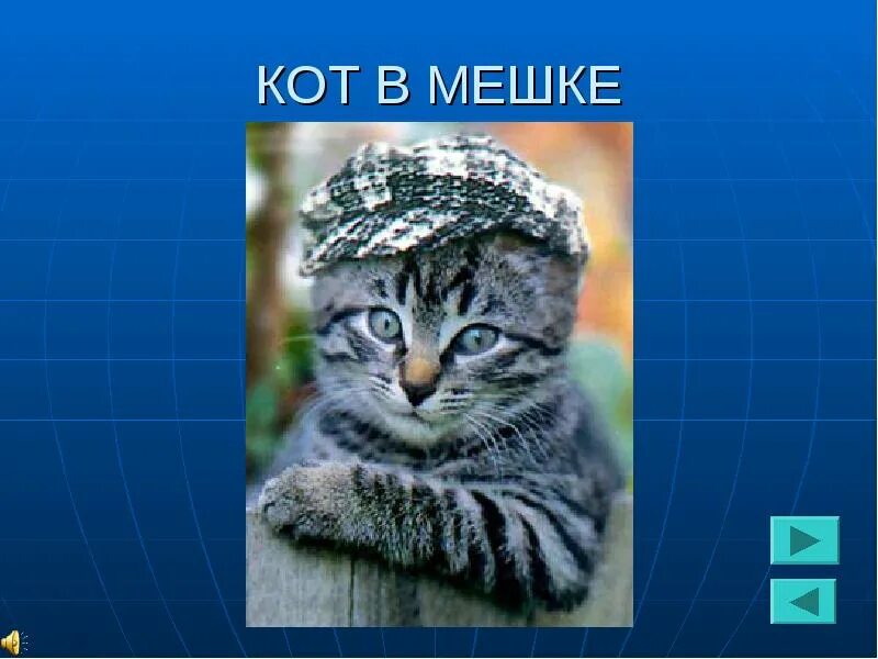 Кот в мешке передача. Игра кот в мешке. кот в мешке своя игра. кот в мешке своя игра презентация. кот в мешке заставка.