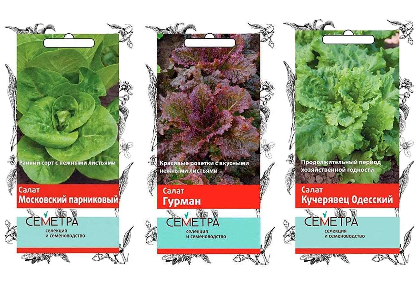 агрофирма поиск каталог 2024. агрофирма поиск каталог 2024. набор семян. сады агрофирма поиск. поиск агрофирма интернет-магазин.