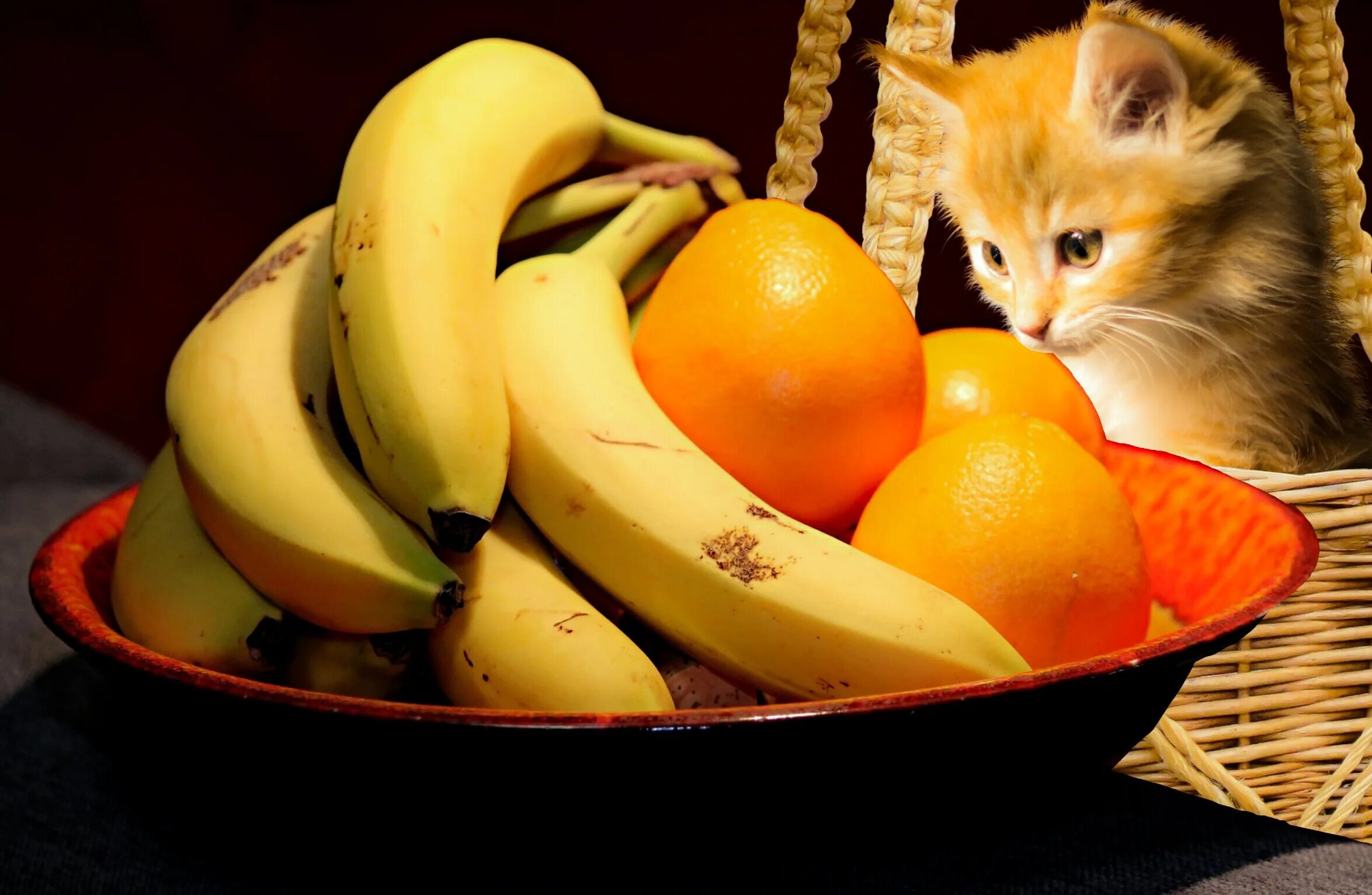 Котенок банан. Кошка с фруктами. котенок ест фрукты. кошка которая питается фруктами. коты едят фрукты и овощи.
