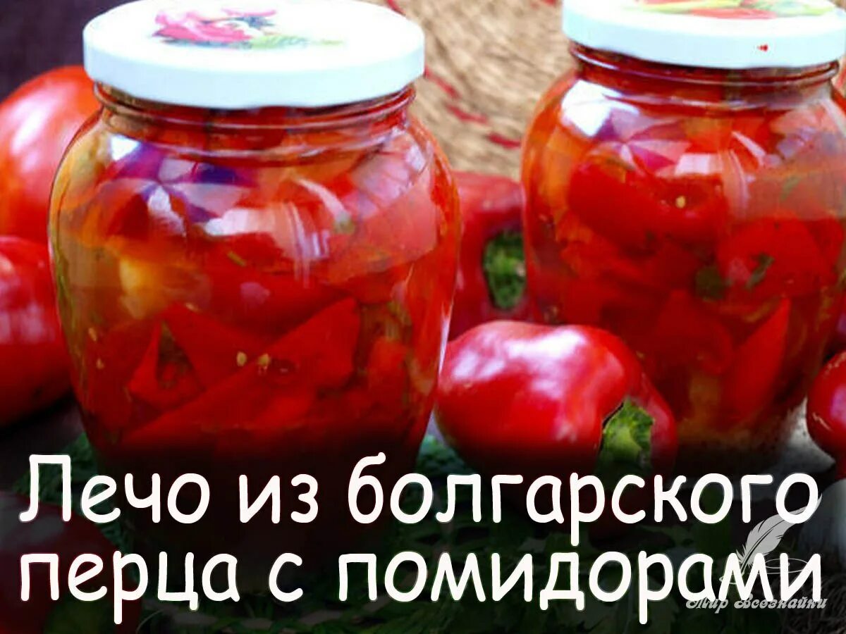 Лечо из перца без помидор на зиму. Лечо из болгарского перца с помидорами. лечо из болгарского перца на зиму. лечо на зиму из перца и помидор. перец лечо.