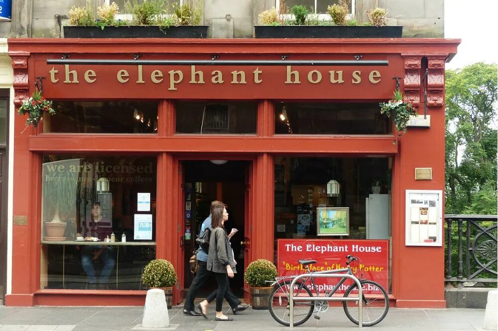 Elephant house. The Elephant House. The Elephant House in Edinburgh. The Elephant House in Edinburgh inside. Elephant House дом в Мытищах.