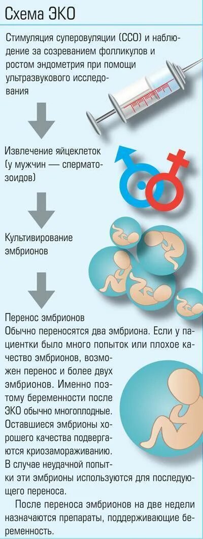 Стимуляция суперовуляции схема. Схема эко. Стимуляция овуляции эко. Схема стимуляции эко.