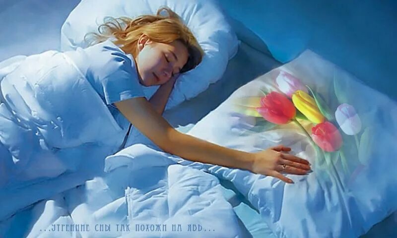 Слышны были мерное дыхание спящих