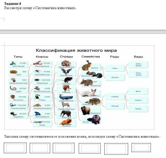 Сор 3 биология 9 класс. Сор биология 9 класс 2 четверть. Ответы на сор по биологии 9 класс 2 четверть. Схема сор. Сор по биологии 7 класс 3 четверть 3 сор.