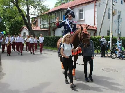 Зеленоградск новости