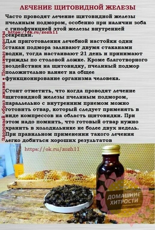 Подмор как пить настойку. Подмор пчелиный для щитовидной железы. пчелиный подмор настойка. пчелиный подмор при щитовидке. подмор пчелиный настойка рецепт.