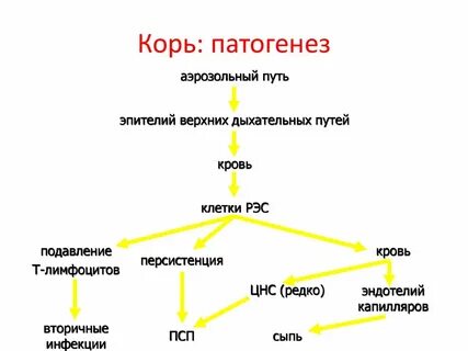 Передача возбудителя кори