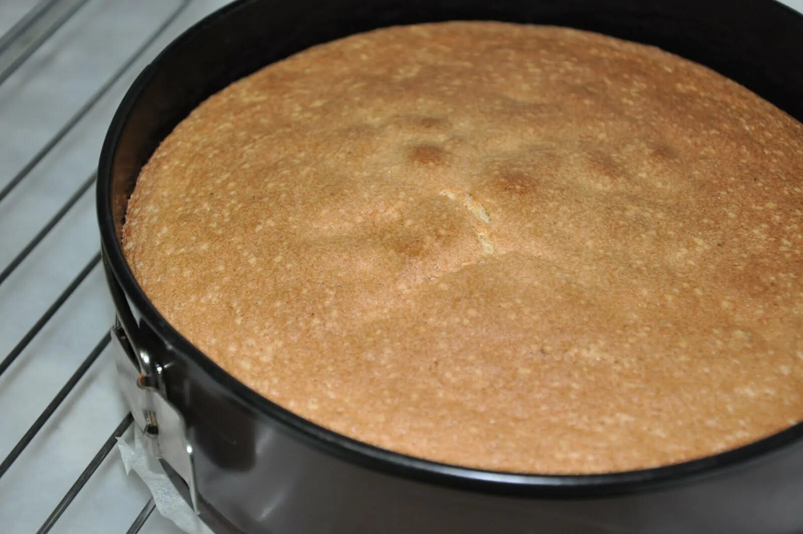 Можно ли испечь