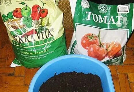 Какая земля для огурцов