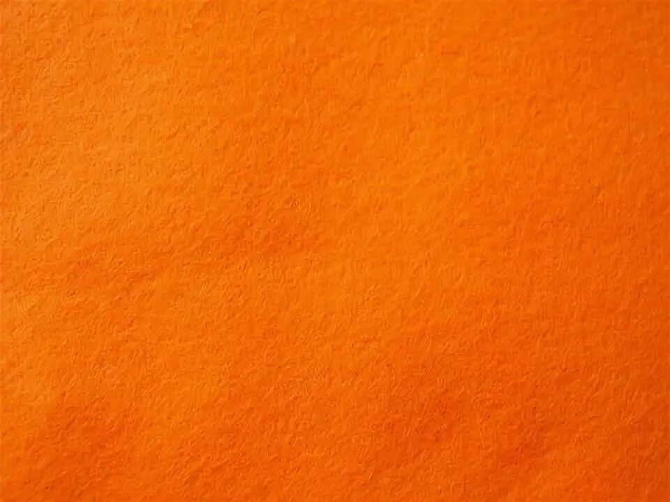 Как выглядит оранжевый цвет фото Loupine Vibrant orange, Shades of orange, Orange crush