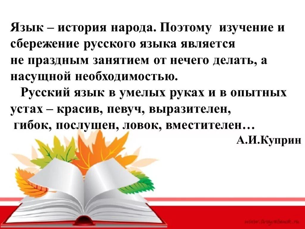 Проект по изучению русского языка. Рассказ о родном языке. Проект по родному языку. Урок родного языка. Роль родного языка.