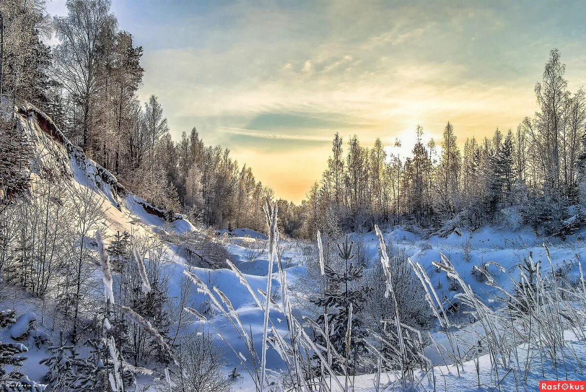 куржевина – иней. серебристый снег. зима мороз. морозный пейзаж. январские морозы.