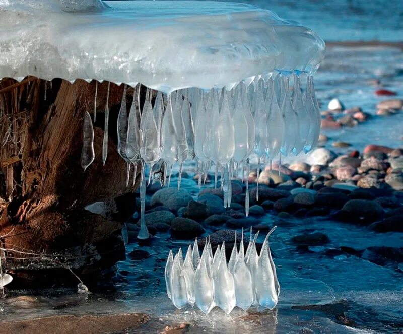 удивительные явления природы. ледяные чудеса природы. удивительные пейзажи. картинки байкала 2019. снежные деревья.