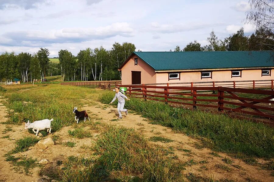 Экологическая ферма. Эко ферма в моих лугах п новый буян. Экоферма самара. Ферма золотая подкова самара. Экоферма в моих лугах самарская область новый буян.