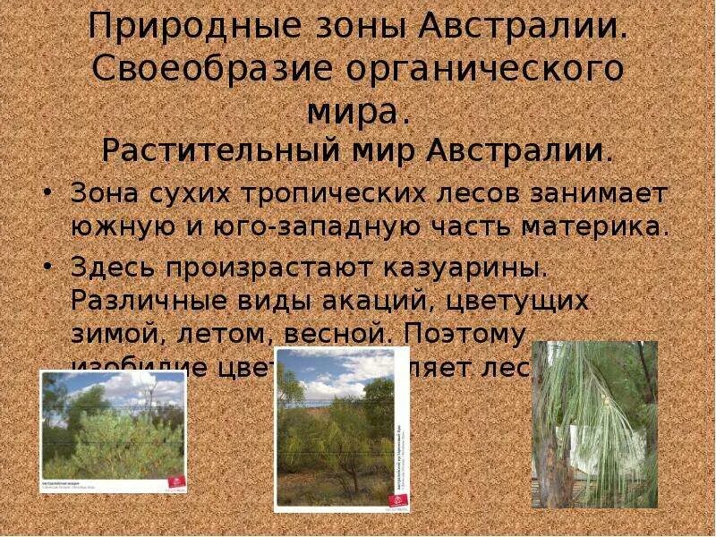 Какой природной зоны нет в австралии. Природные зоны австралии. природно климатические зоны австралии. карта природных зон австралии.
