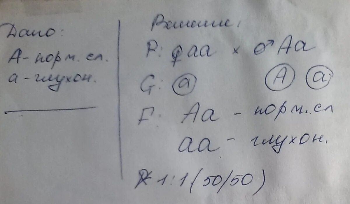 У человека ген вызывающий одну из форм наследственной. У человека ген слуха вызывающий наследственную глухонемоту. Наследование глухонемоты у человека. У человека ген вызывающий глухонемоту рецессивен по отношению к Гену.