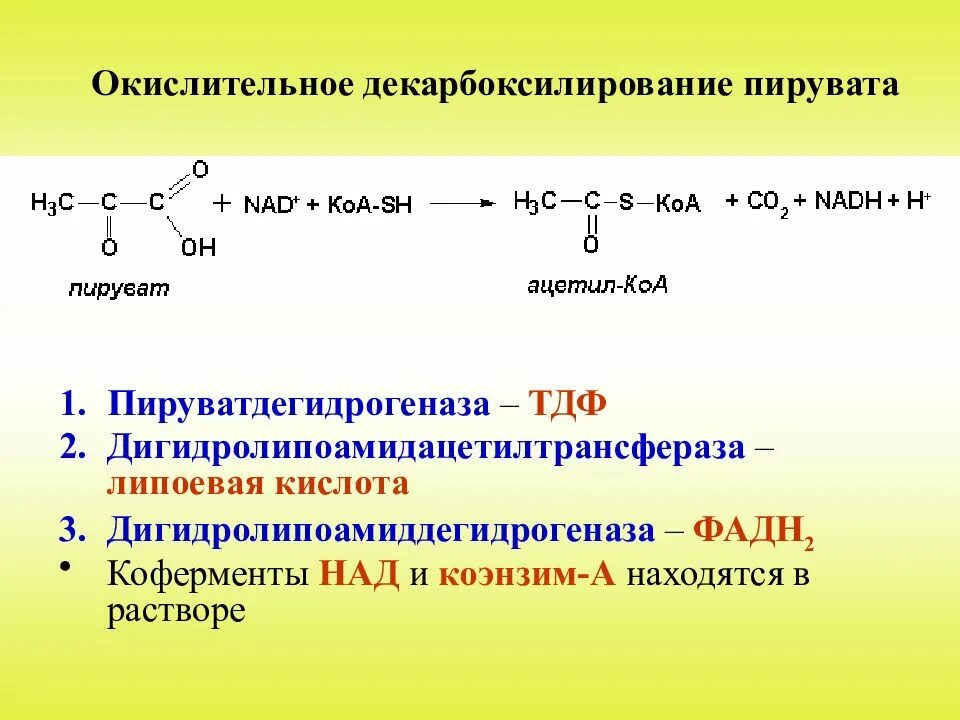 Окислительное декарбоксилирование реакции. Схема реакции окислительного декарбоксилирования пирувата. Окислительное декарбоксилирование ПВК схема процесса. Механизм окислительного декарбоксилирования пирувата. Окислительное декарбоксилирование ПВК.