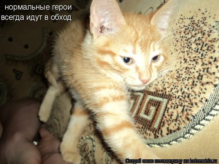 Песня нормальные герои всегда идут. Нормальные герои всегда идут в обход. Нормальные герои всегда идут в обход картинки. Отважные герои всегда идут в обход. Нормальные герои всегда идут.