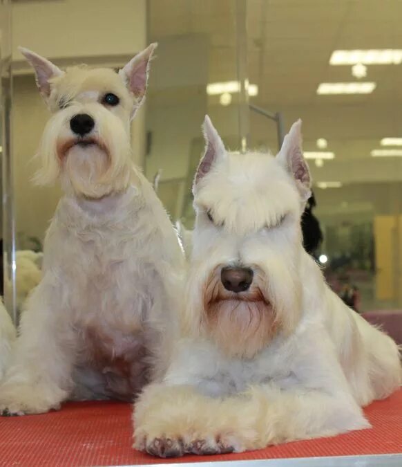 питомник солар