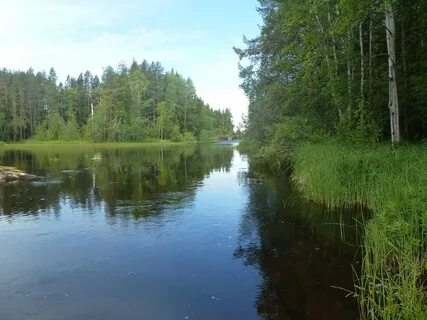 Река бур
