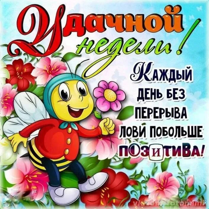 Отличного дня и недели. Прикольные пожелания на каждый день. поздравления на каждый день прикольные. позитивные пожелания на день. открытки с пожеланием хорошей недели.