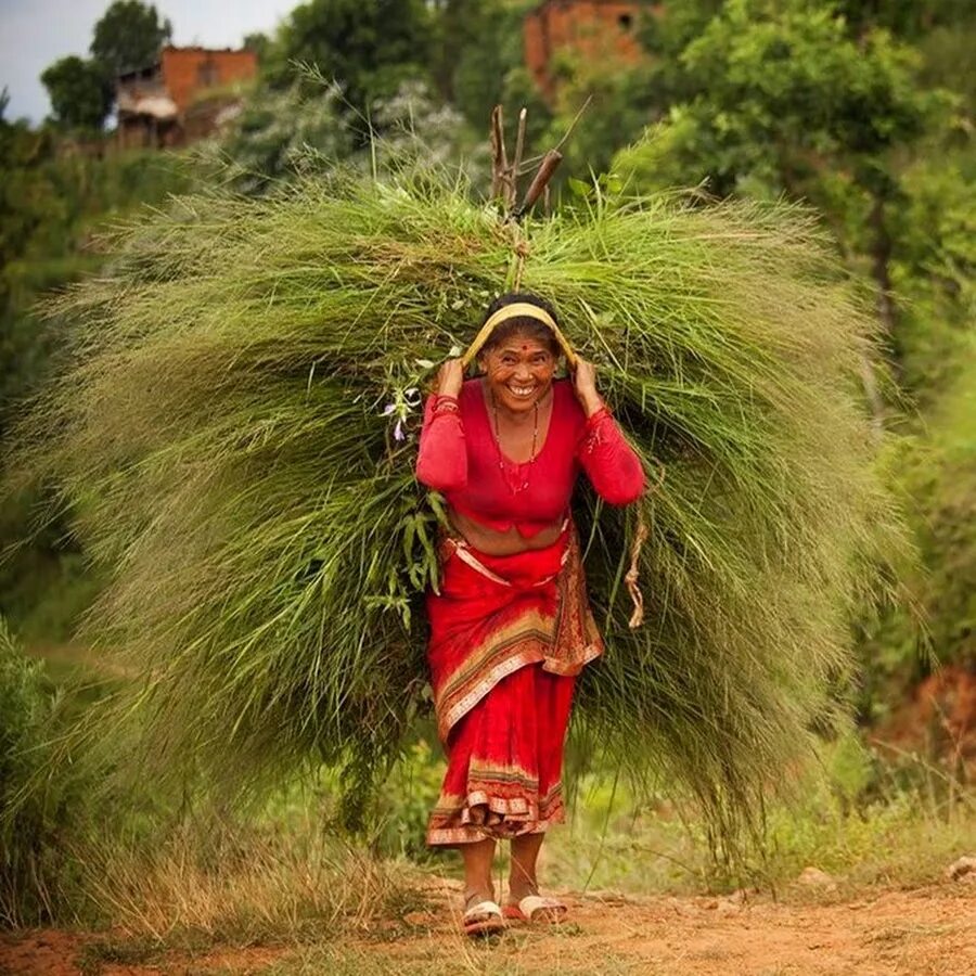 Village woman. Nepali Village. Nuwakot. Tharu Nepal. Kotiro Nepali.