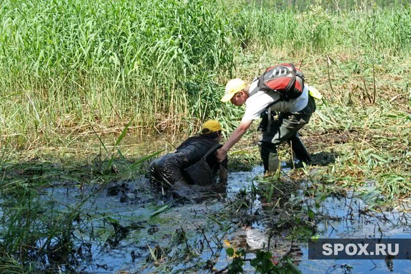 Заблудились в болоте