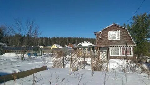 Станция огород