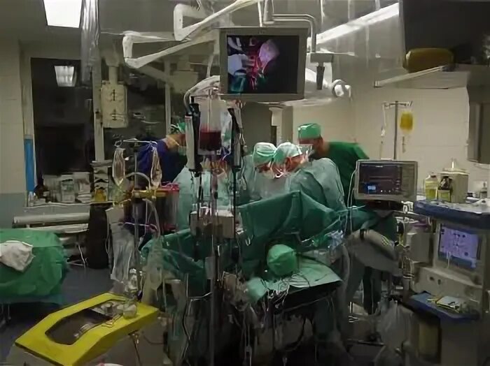 Научного хирургического общества на кавминводах. Центр трансплантации. Операция на печени в нии склифосовского. Больница в москве по пересадке органов. Центр трансплантации.